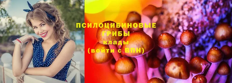 Псилоцибиновые грибы Cubensis  продажа наркотиков  Мамоново 